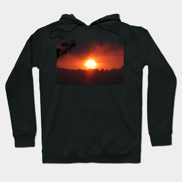 golden columbia river sunrise 3 Hoodie by DlmtleArt